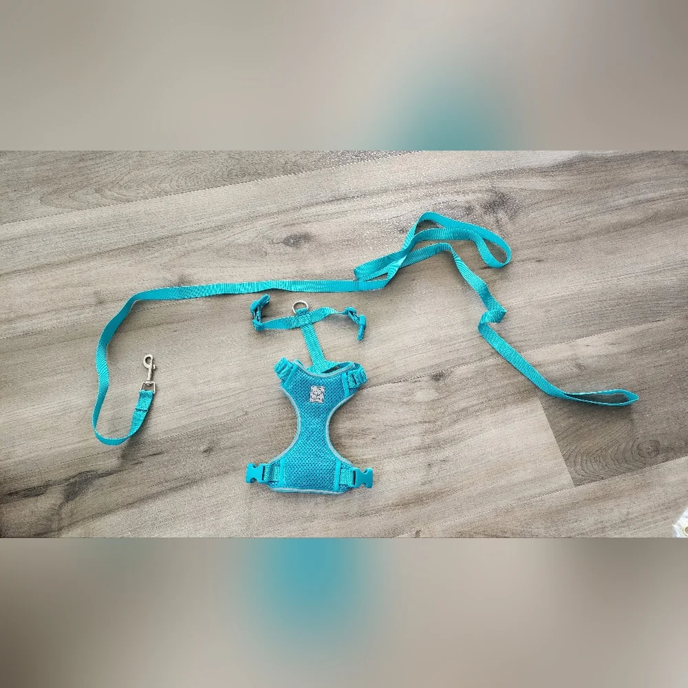 Small Teal Pet Harness and Leash